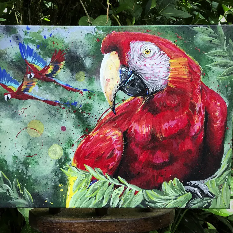 Scarlet macaw painting by Damián Calandra