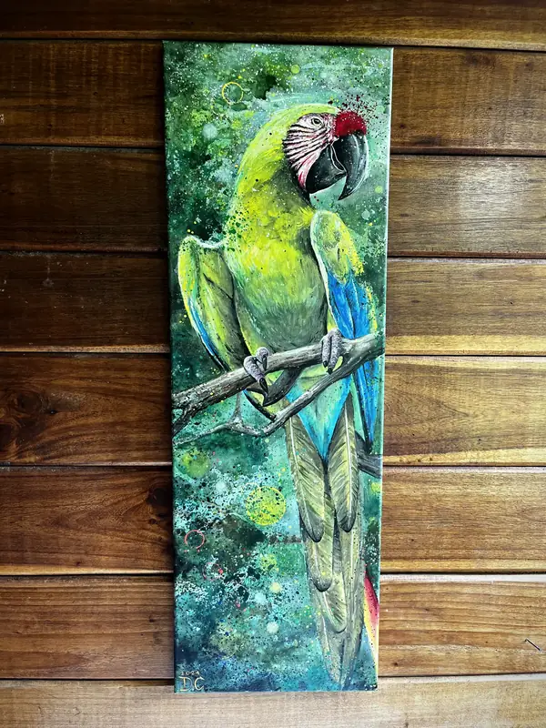 Great green macaw painting by Damián Calandra