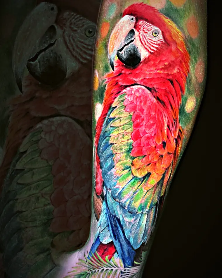 Scarlet macaw tattoo by Damián Calandra