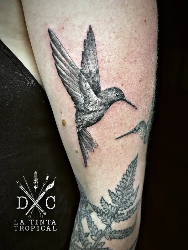 Hummingbird and fern tattoo by Damián Calandra