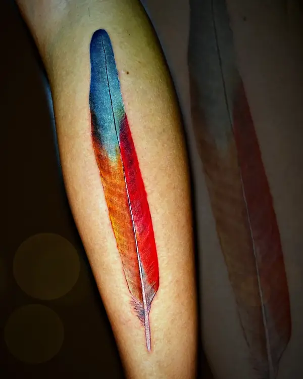 Macaw feather in color tattoo by Damián Calandra