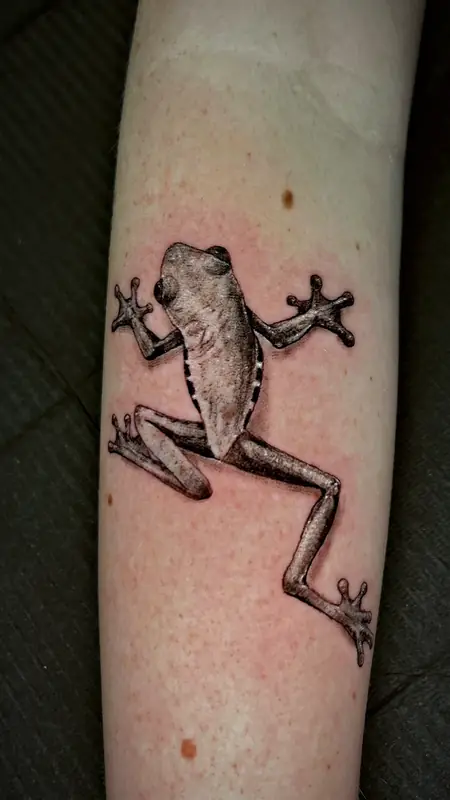 Tree frog in black and grey tattoo by Damián Calandra