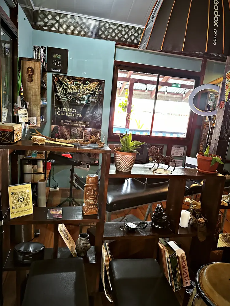 Shelves with art and plants at the studio